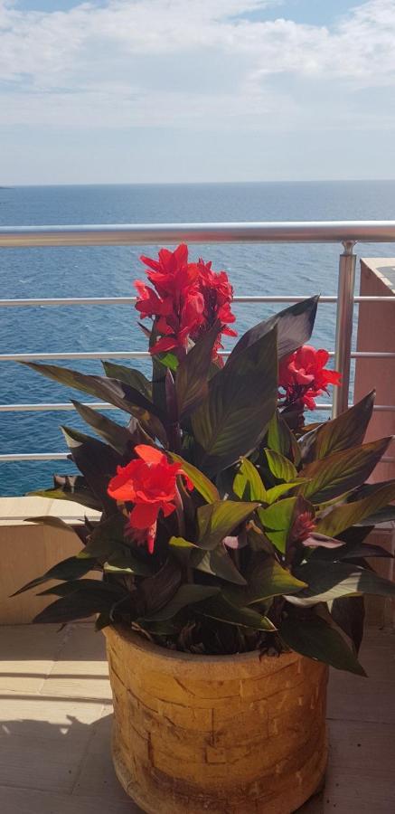 Apartment Sea Space 2 Dobra Voda Zewnętrze zdjęcie